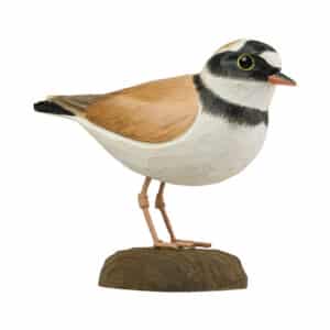 Decobird Dverglo (Charadrius dubius)