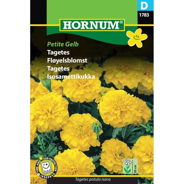 Tagetes 'Petite Gelb'